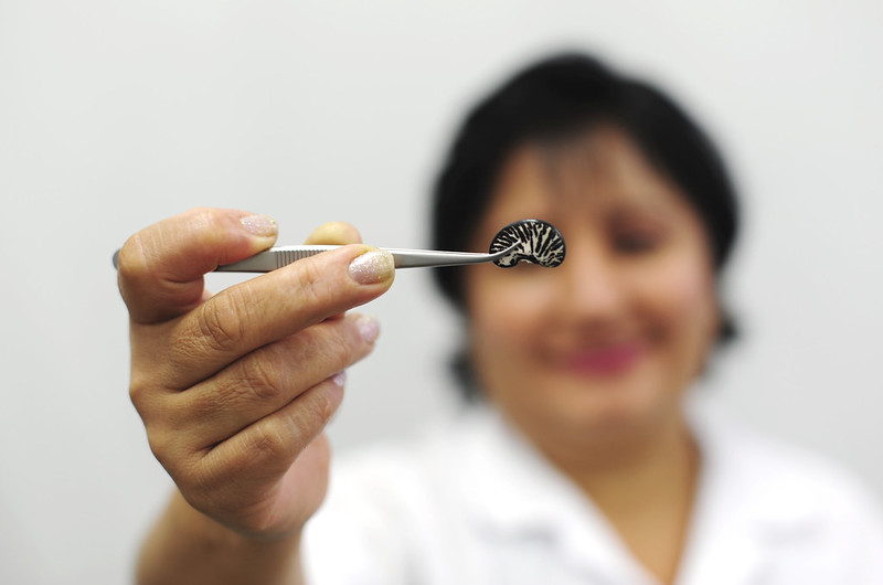 Woman scientist holding tweezers holding a big seed, food systems