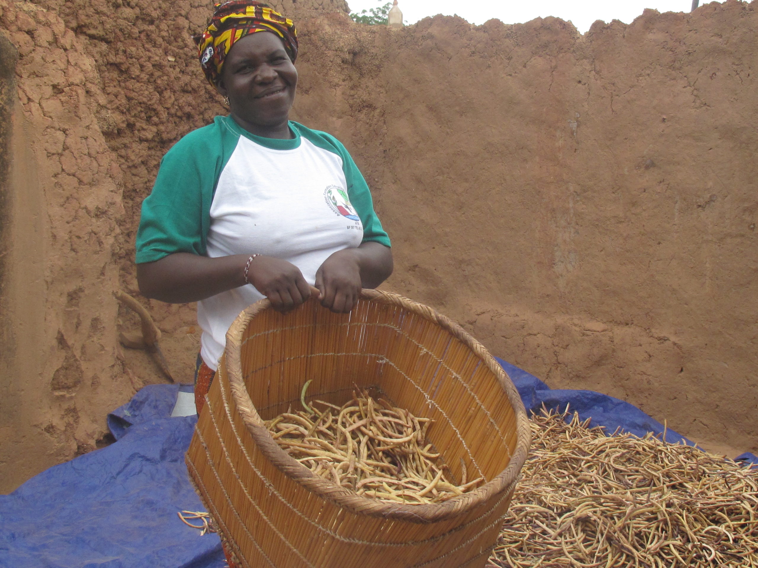 Niébé is a local form of cowpea largely farmed by women in West Africa. Copyright: WFP/Eliza Warren-Shriner