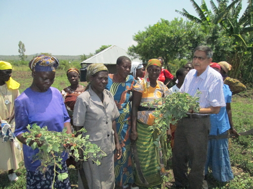 Dr Khan shows a group of women farmers how to establish a push-pull field with desmodium vines
