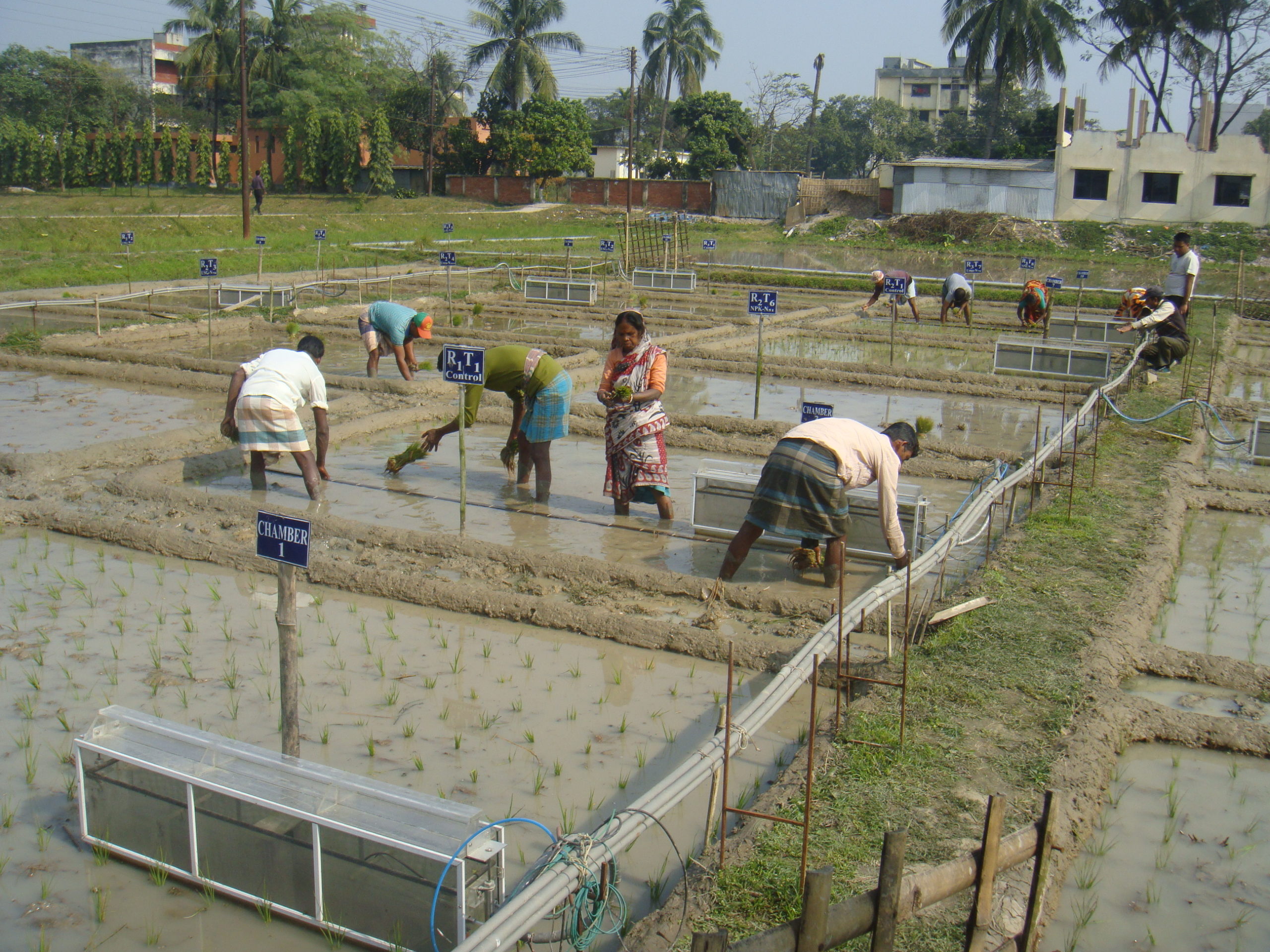 Greenhouse gas emissions labs in Bangladesh