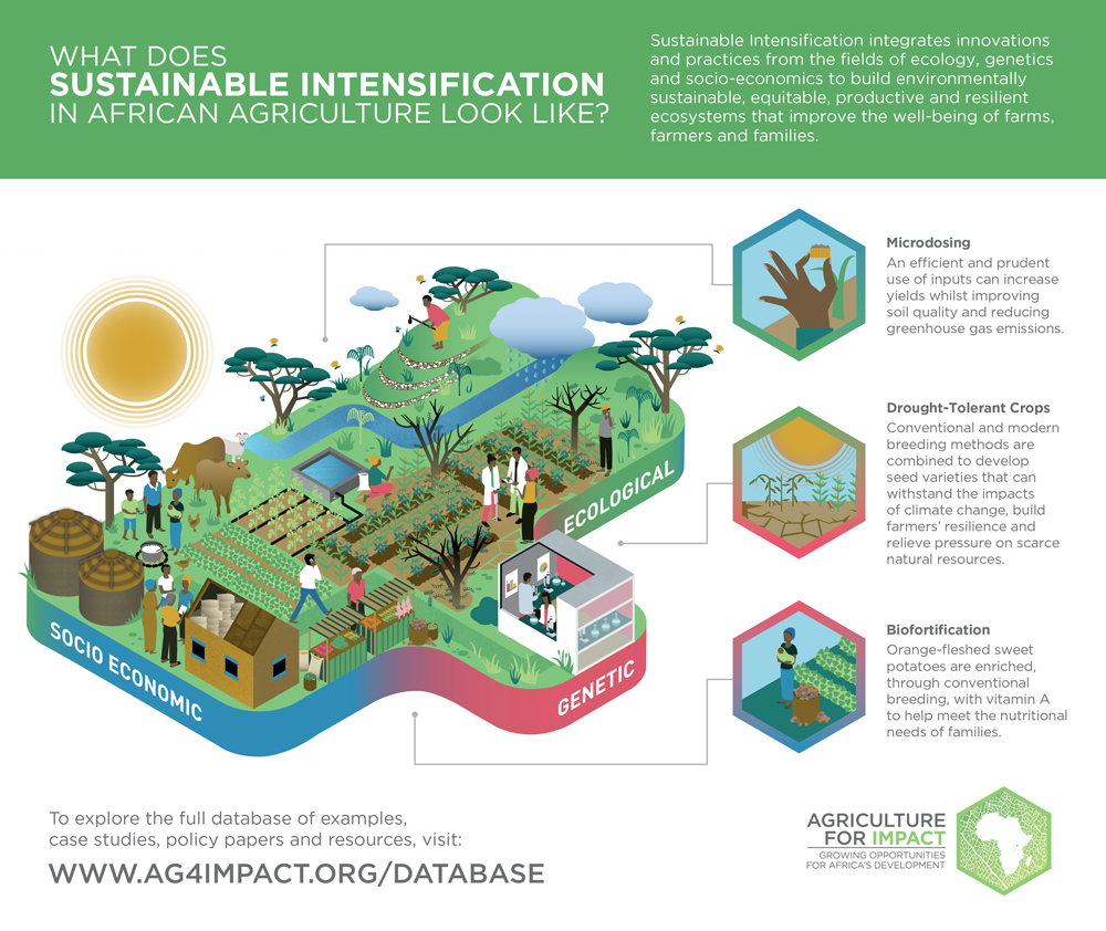 Infographic