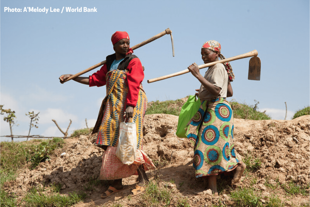 Small-scale producers key to attaining food security and ending hunger, Working in development