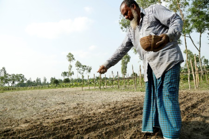In Bangladesh, nearly half the population works in farming. Photo courtesy of VSO & Syngenta. 