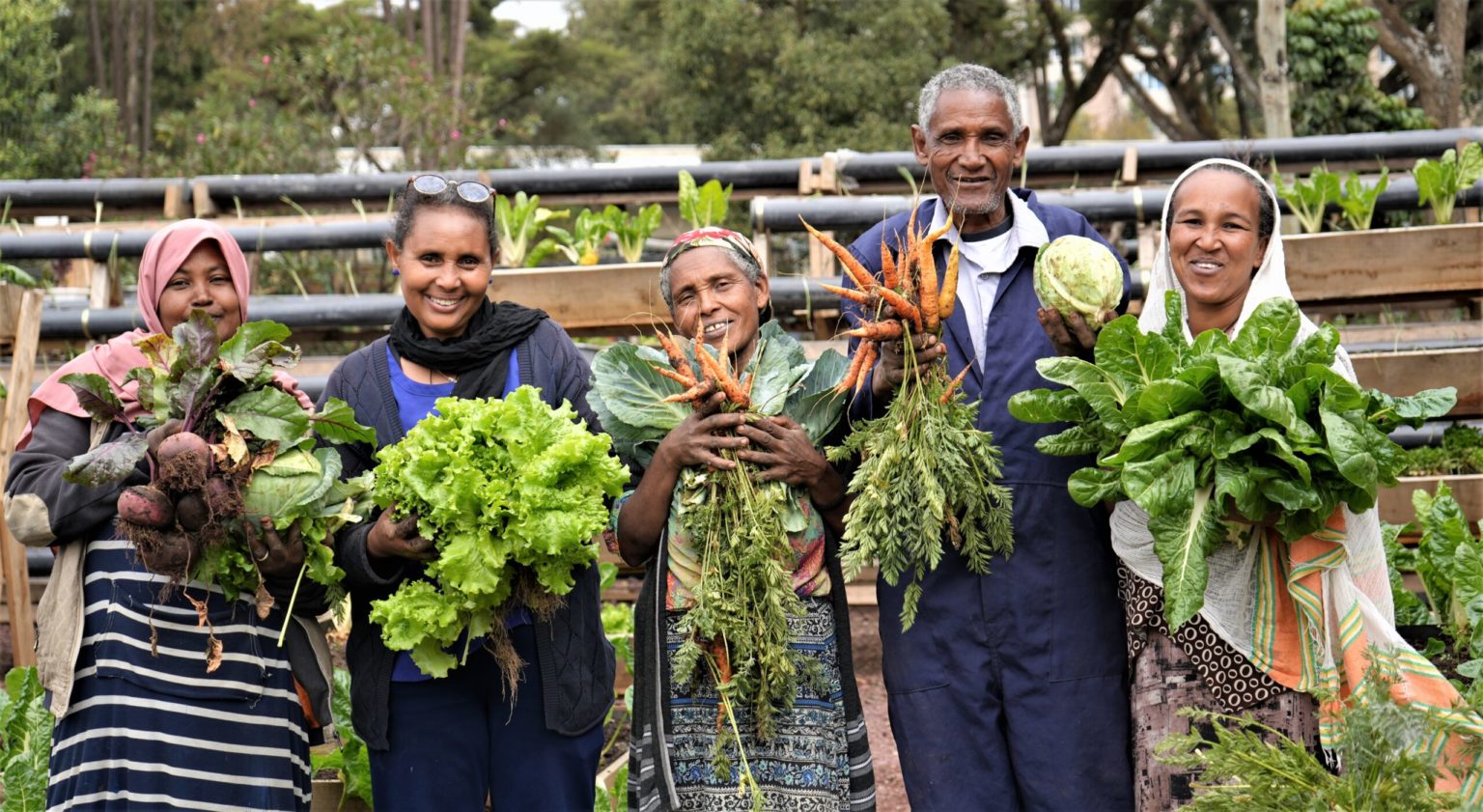 How An Urban Agriculture Project In Ethiopia Is Improving Lives And ...