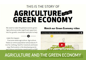 green-economy-button