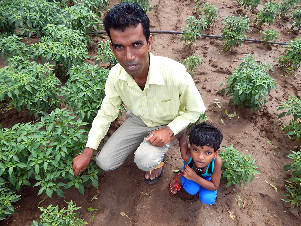 Man and child checking plants in a field