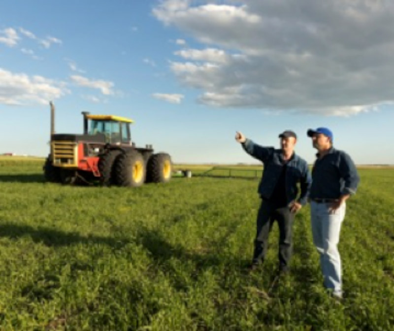 Two farmers talking and looking at field with tractor in the background