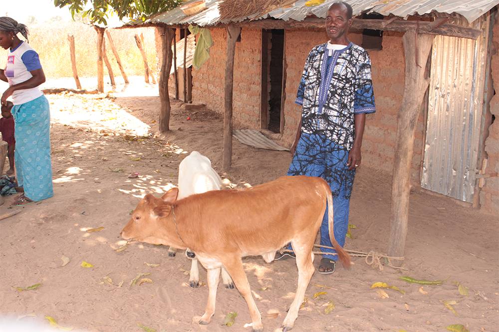 Farmer with calf