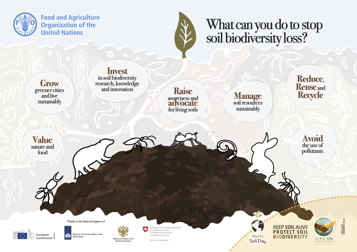 Saving Soils for People and Planet - Farming First