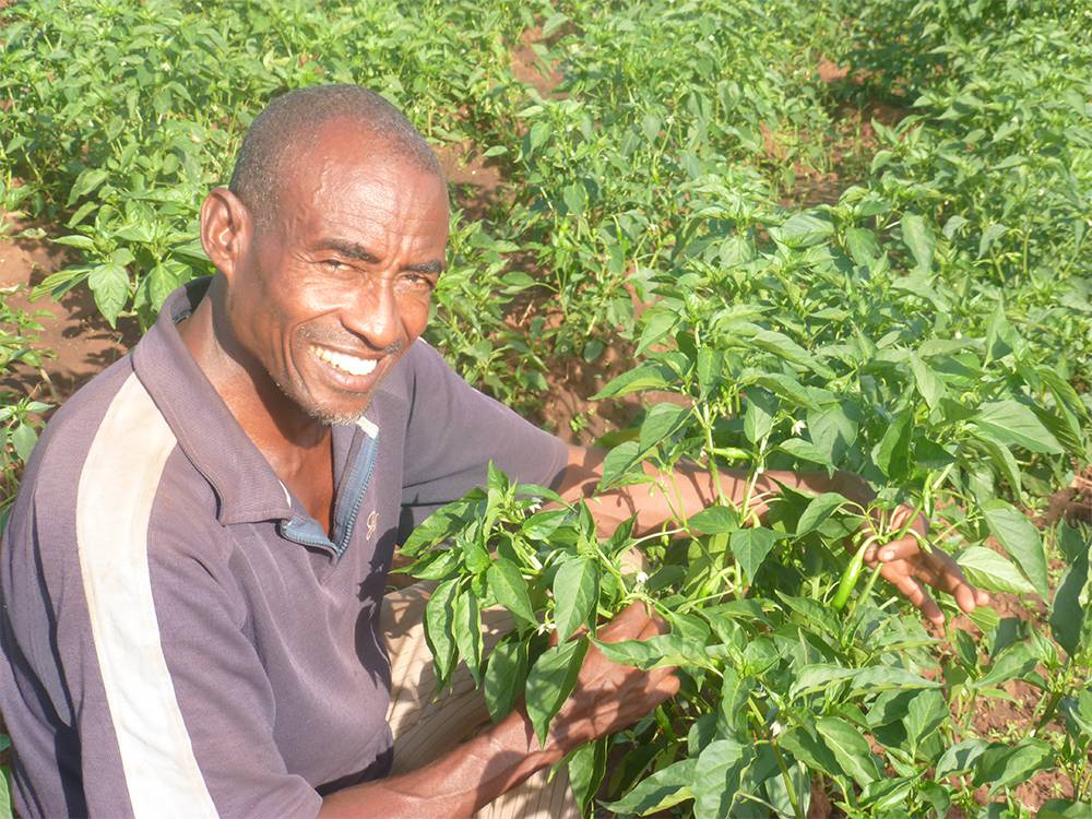 Farmer smiling at camera and holding plant