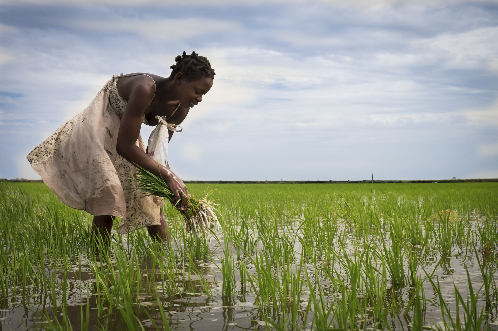 Female rice farmer working her field in Xai Xai, Mozambique