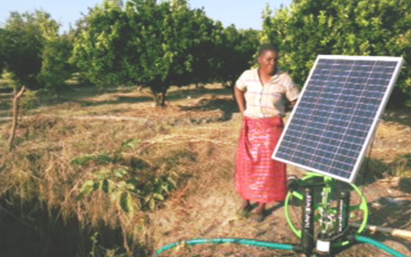 Farmer standing in field with a solar panel