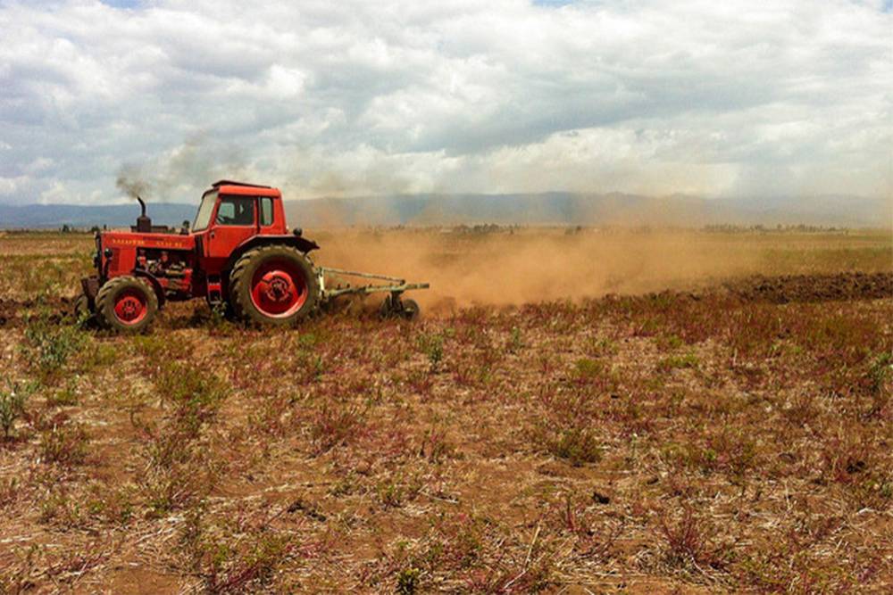 Tractor tilling field