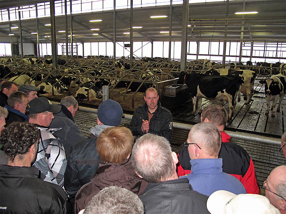 Group of farmers at a cow farm