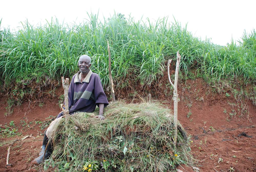 Farmer with compost pile