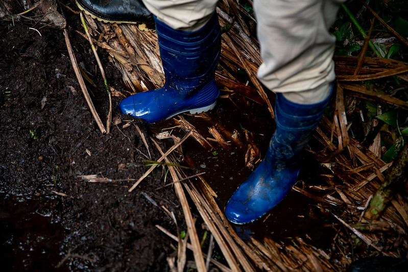 Person standing on peatland