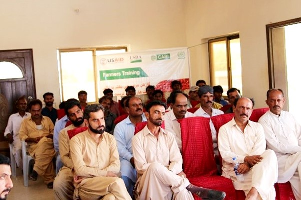 Pakistan farmers at the Chillies Biocontrol Training in Pakistan