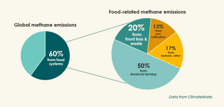 Percentages of methane emissions from food waste