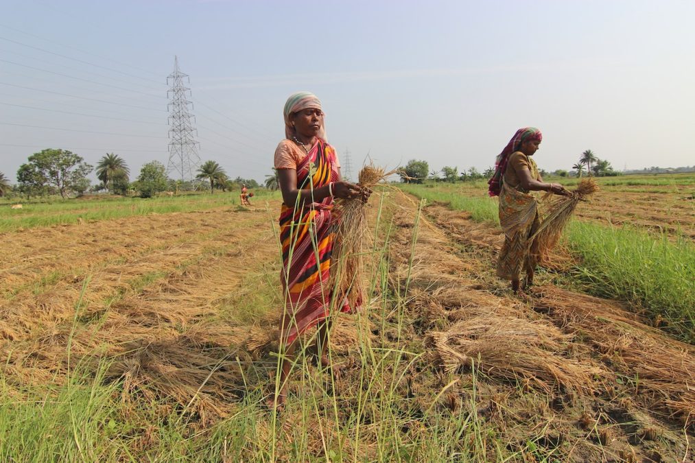 Empowering Women Farmers in India