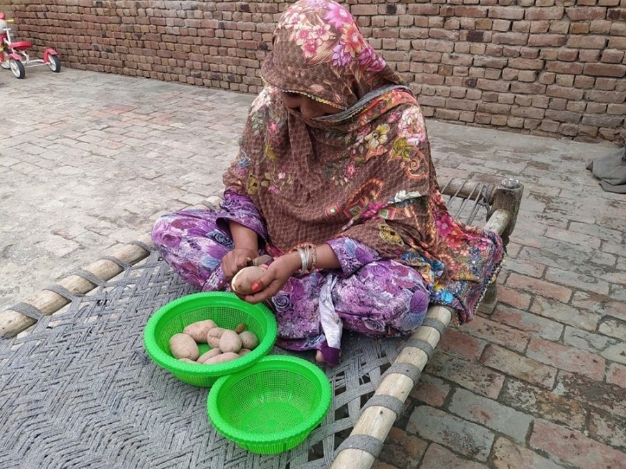 Ms Allah prepares the potatoes she harvested after her training on potato value chain