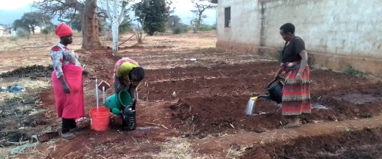 Female farmers planting vegetables