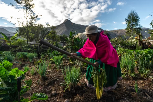 Land tenure empowers women smallholder farmers