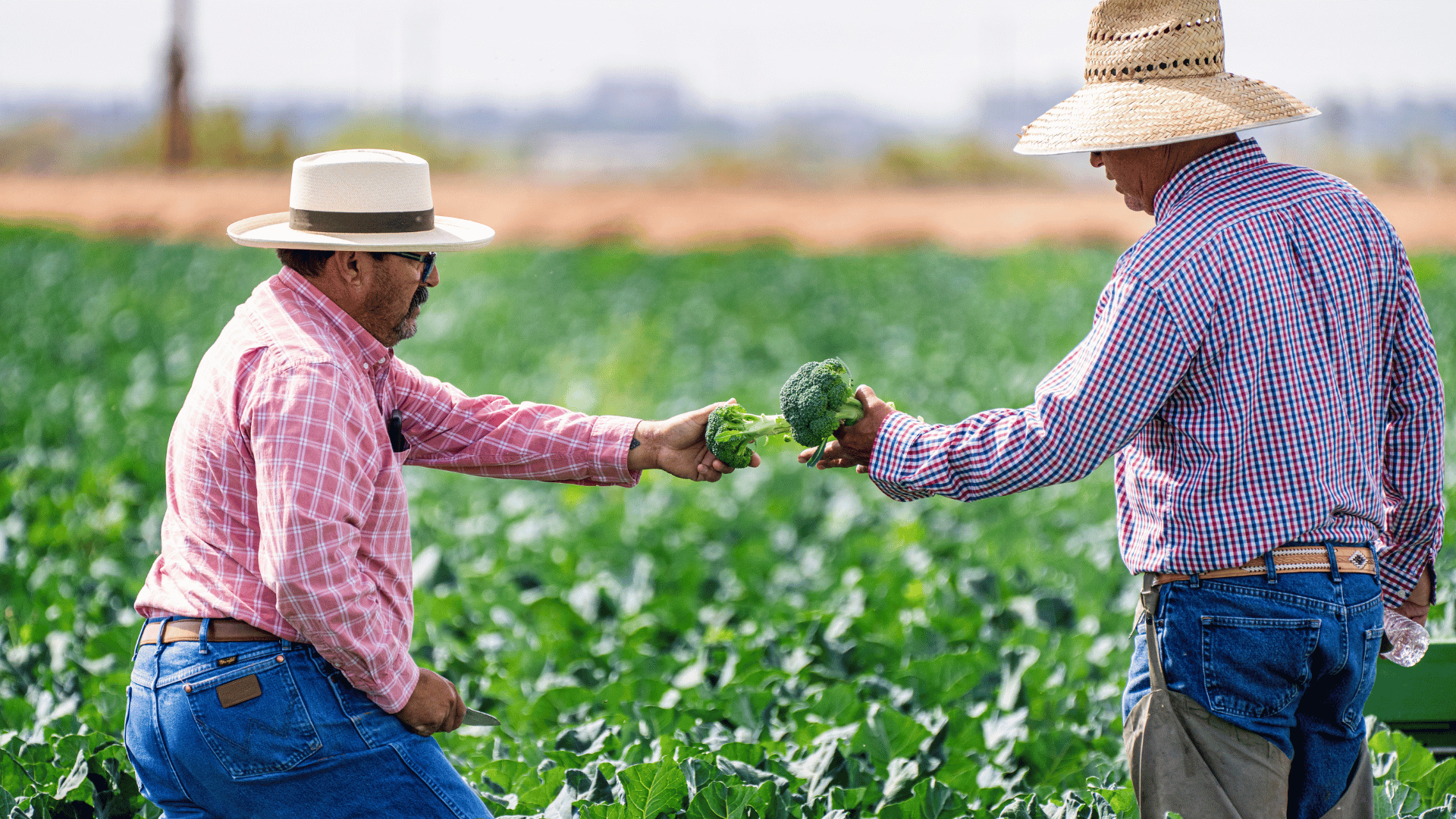 Trade Can Improve Food Security in Latin America and the Caribbean