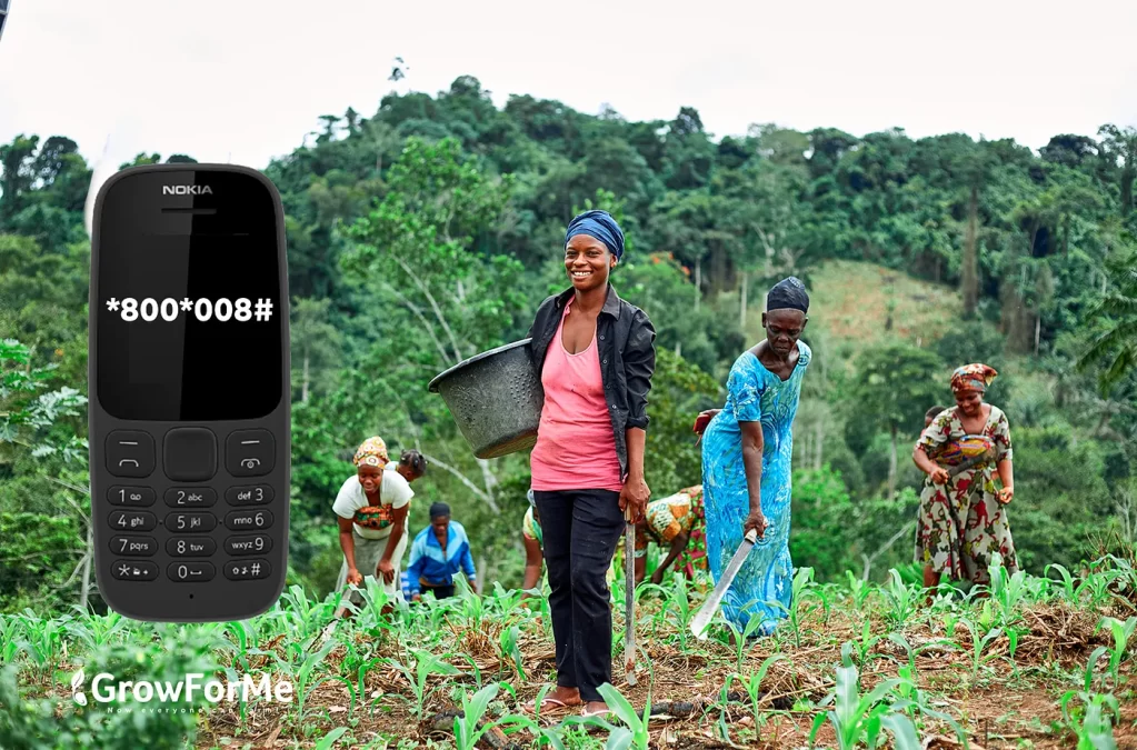 Ussing USSD technology to give women smallholder farmers access to input financing, helping to solve food security challenges