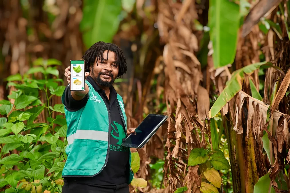 KivuGreen uses an AI-equipped platform to solve food security