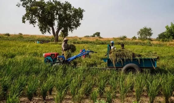 Farmers in Senegal. Public investment in agriculture is stagnating with the Malabo target not met.