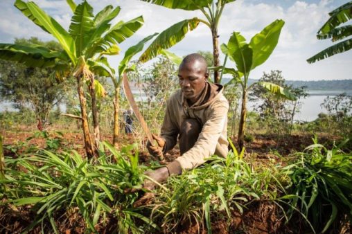 A farmer tending to his farm in Burundi’s Nzove village, adapting to the worsening climate crisis.