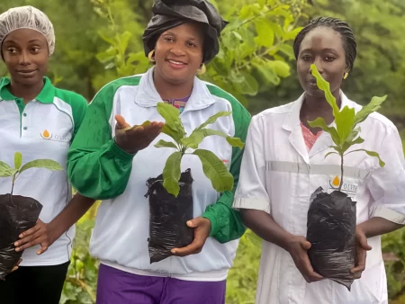 Women's associations were empowered through the SERVIR West Africa (SERVIR WA) program to combat land degradation