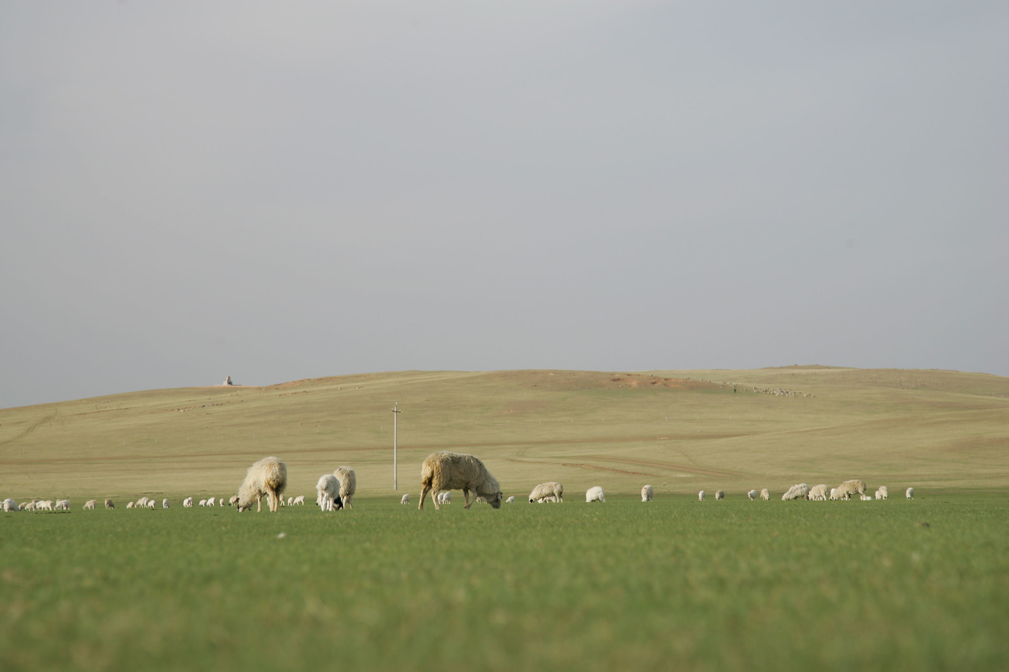 New investment hub launched at UN COP17 to close $278 billion finance gap for land restoration