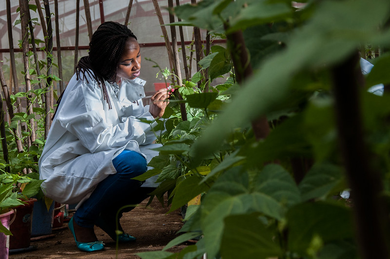 Making this International Year of the Woman Farmer count
